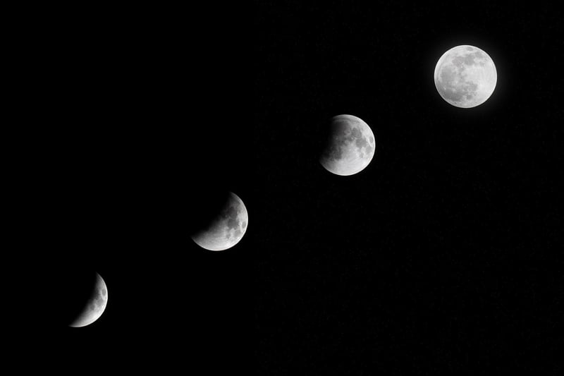 Moon Phase Plant Markers